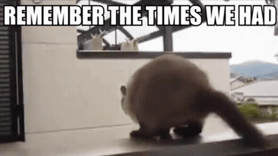 A Cat Is Walking On A Balcony With The Words `` Remember The Times We Had '' Written On It . GIF
