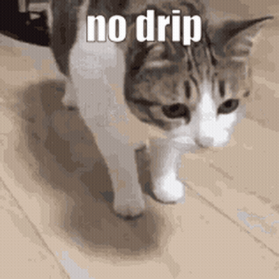 A Cat Is Walking On A Wooden Floor And Says No Drip . GIF