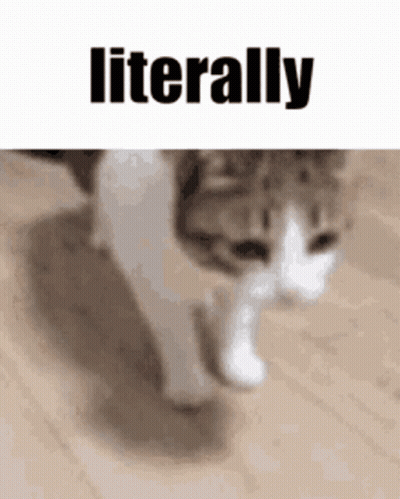 A Cat Is Walking On A Wooden Floor Next To A Sign That Says Literally . GIF