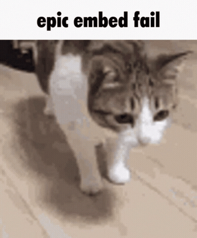 A Cat Is Walking On A Wooden Floor With The Caption Epic Embedded Fail . GIF