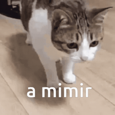 A Cat Is Walking On A Wooden Floor With The Words A Mimir Written On The Bottom GIF