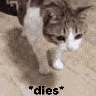 A Cat Is Walking On A Wooden Floor With The Words * Dies * Written In Black GIF