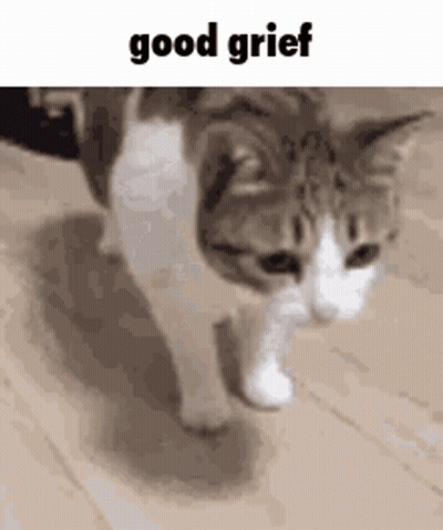 A Cat Is Walking On A Wooden Floor With The Words `` Good Grief '' Written Above It . GIF