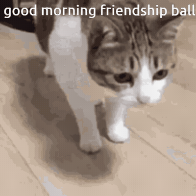 A Cat Is Walking On A Wooden Floor With The Words Good Morning Friendship Ball Above It GIF