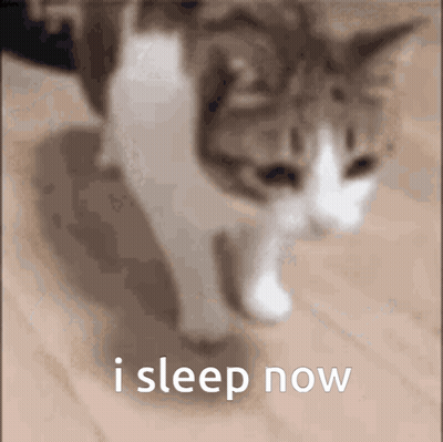 A Cat Is Walking On A Wooden Floor With The Words I Sleep Now Written On The Bottom GIF