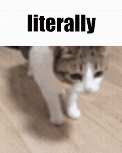 A Cat Is Walking On A Wooden Floor With The Words `` Literally '' Written Above It . GIF