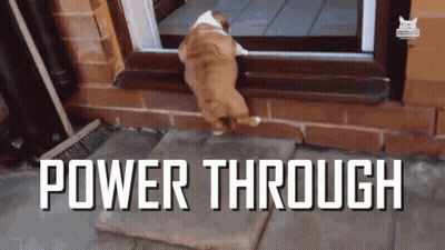 A Cat Is Walking Through A Door With The Words Power Through Written Above It GIF