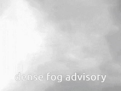 A Cat Is Walking Through Dense Fog With The Words Dense Fog Advisory Above It GIF