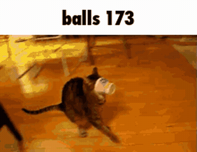 A Cat Is Walking With A Cup In Its Mouth And The Words Balls 173 Are Above It . GIF