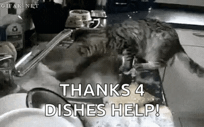 A Cat Is Washing Dishes In A Kitchen Sink With The Words `` Thanks 4 Dishes Help '' . GIF