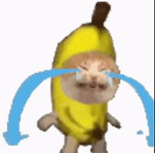 A Cat Is Wearing A Banana Costume And Crying . GIF