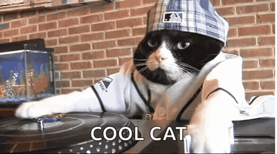 A Cat Is Wearing A Baseball Uniform And A Hat And Says Cool Cat On The Bottom Right GIF