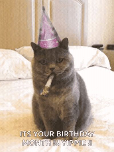 A Cat Is Wearing A Birthday Hat And Blowing A Party Horn . GIF