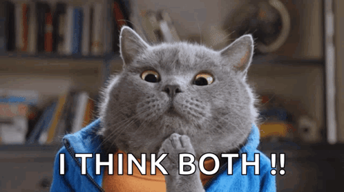 A Cat Is Wearing A Blue Hoodie And Says I Think Both GIF