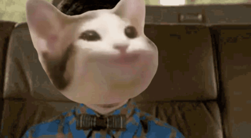 A Cat Is Wearing A Blue Shirt And Bow Tie . GIF