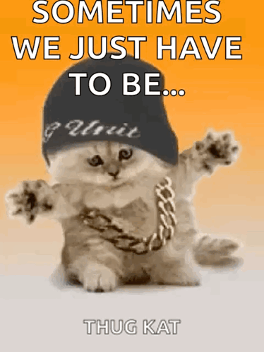 A Cat Is Wearing A Hat And Chain And Says " Sometimes We Just Have To Be " GIF