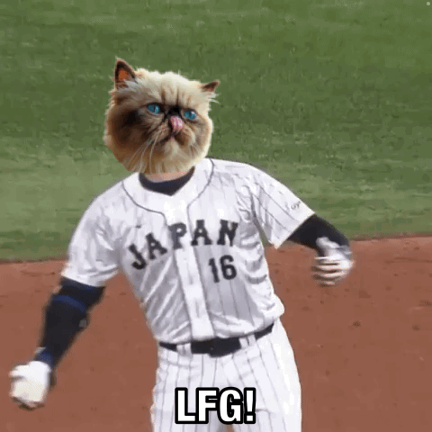 A Cat Is Wearing A Japan Baseball Uniform And Saying Lfg GIF