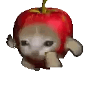 A Cat Is Wearing A Red Apple Hat And Eating An Apple . GIF