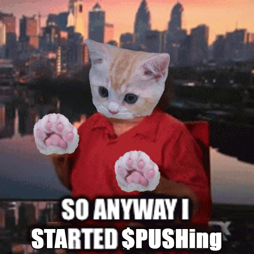 A Cat Is Wearing A Red Shirt And Says So Anyway I Started Pushing GIF