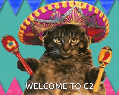 A Cat Is Wearing A Sombrero And Holding Maracas GIF