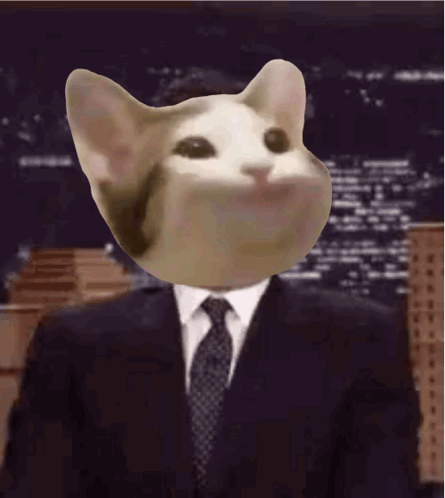 A Cat Is Wearing A Suit And Tie And Looking Up GIF