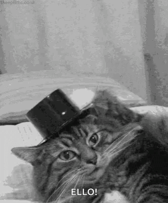 A Cat Is Wearing A Top Hat On A Bed . GIF