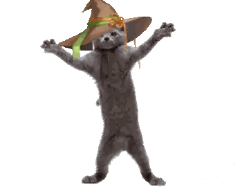 A Cat Is Wearing A Witch Hat With A Green Ribbon Around It Sticker