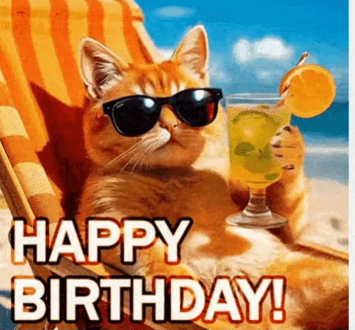 a cat is wearing sunglasses and holding a drink on the beach .