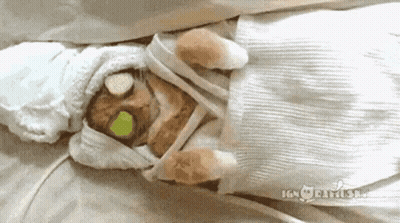 A Cat Is Wrapped In A Towel And Laying On A Bed With A Bottle Of Water On Its Face . GIF