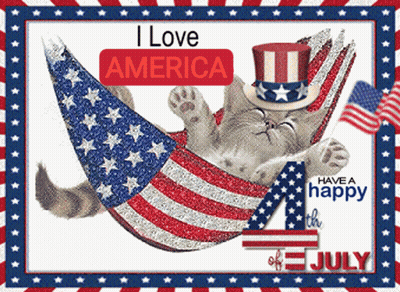 A Cat Laying In A Hammock With The Words I Love America GIF