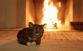A Cat Laying In Front Of A Fireplace With A Fire In The Background GIF