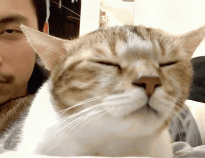 A Cat Laying Next To A Man With His Eyes Closed GIF