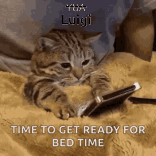 A Cat Laying On A Bed Looking At A Cell Phone With A Caption That Says Time To Get Ready For Bed Time GIF