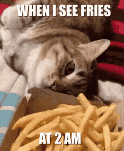 A Cat Laying On A Bed Next To A Box Of French Fries With The Caption " When I See Fries At 2 Am " GIF