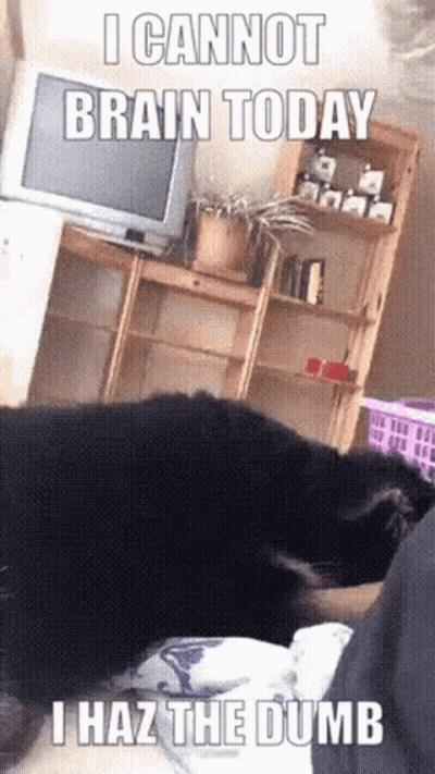 A Cat Laying On A Bed With A Caption That Says I Cannot Brain Today GIF