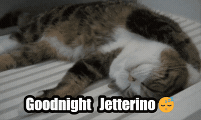 A Cat Laying On A Bed With The Words Goodnight Jetterino Written Above It GIF