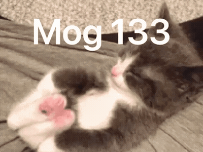 A Cat Laying On A Bed With The Words Mog 133 Written On The Bottom GIF