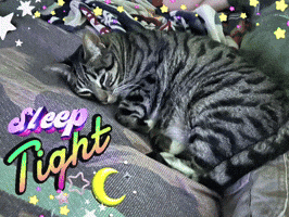 A Cat Laying On A Bed With The Words " Sleep Tight " Written Above It GIF