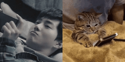 A Cat Laying On A Blanket Next To A Man Looking At A Phone GIF