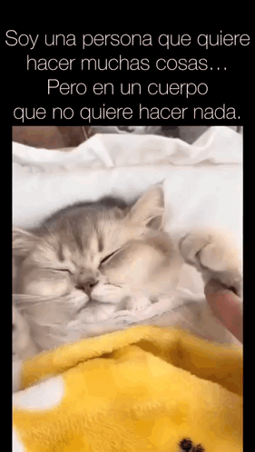 A Cat Laying On A Blanket With A Caption That Says Soy Una Persona Que Quiere Hacer Muchas Cosas GIF