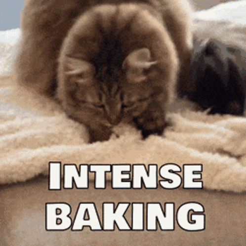 A Cat Laying On A Blanket With The Words Intense Baking Above It GIF