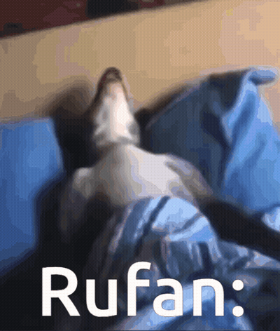 A Cat Laying On A Blue Blanket With The Word Rufan Written On The Bottom GIF