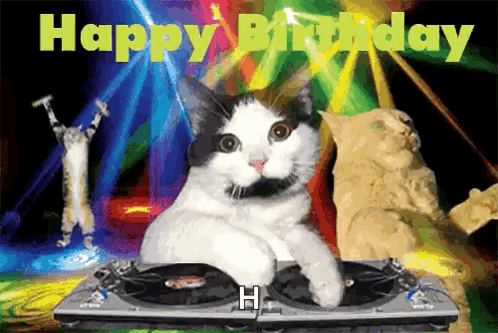 A Cat Laying On A Dj 'S Turntable With The Words Happy Birthday Written Above It GIF