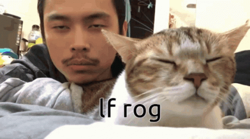 A Cat Laying On A Man 'S Lap With The Words Lf Rog Written On The Bottom GIF