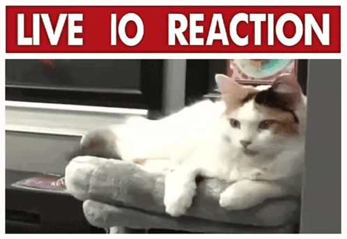 A Cat Laying On A Person 'S Lap Under A Sign That Says Live Io Reaction GIF