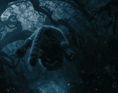 A Cat Laying On Its Back In The Dark GIF