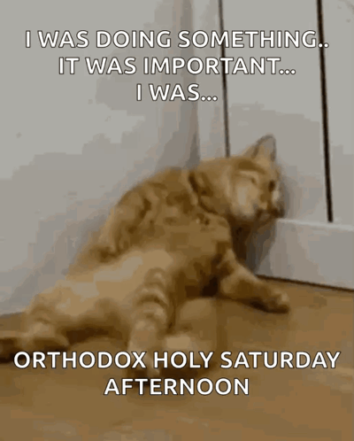 A Cat Laying On The Floor With A Caption That Says Orthodox Holy Saturday Afternoon . GIF