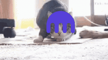 A Cat Laying On The Floor With A Purple M On Its Face GIF
