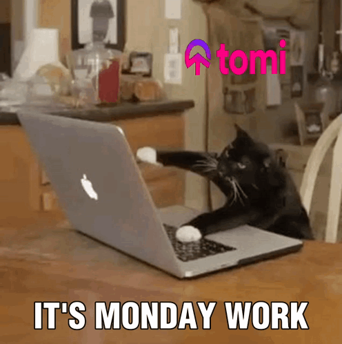A Cat Laying On Top Of An Apple Laptop With The Words " It 'S Monday Work " Below It GIF