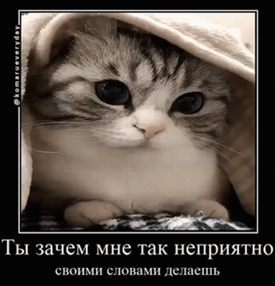 A Cat Laying Under A Blanket With A Caption In Russian GIF